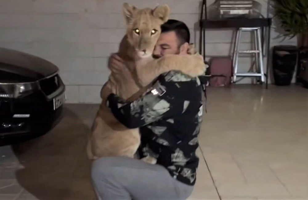 پرونده قضایی «امیر علیاکبری» به کجا رسید؟