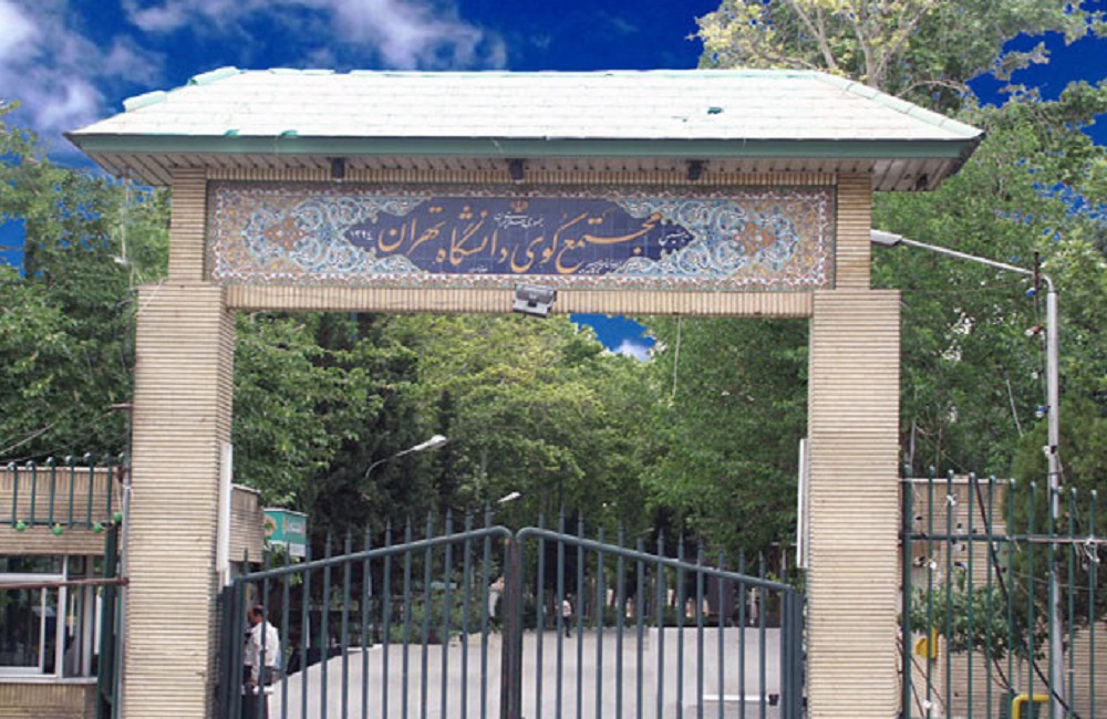 عوامل پرونده قتل دانشجوی دانشگاه تهران در حال بازجویی هستند