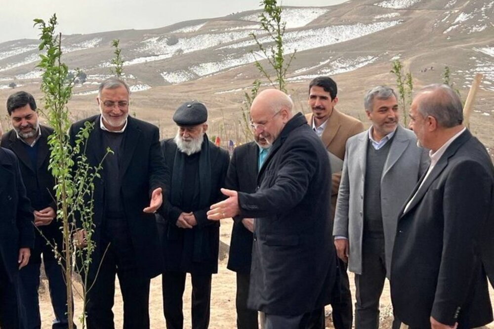 بهرهبرداری ۲۵۰۰ هکتار از کمربند سبز تهران