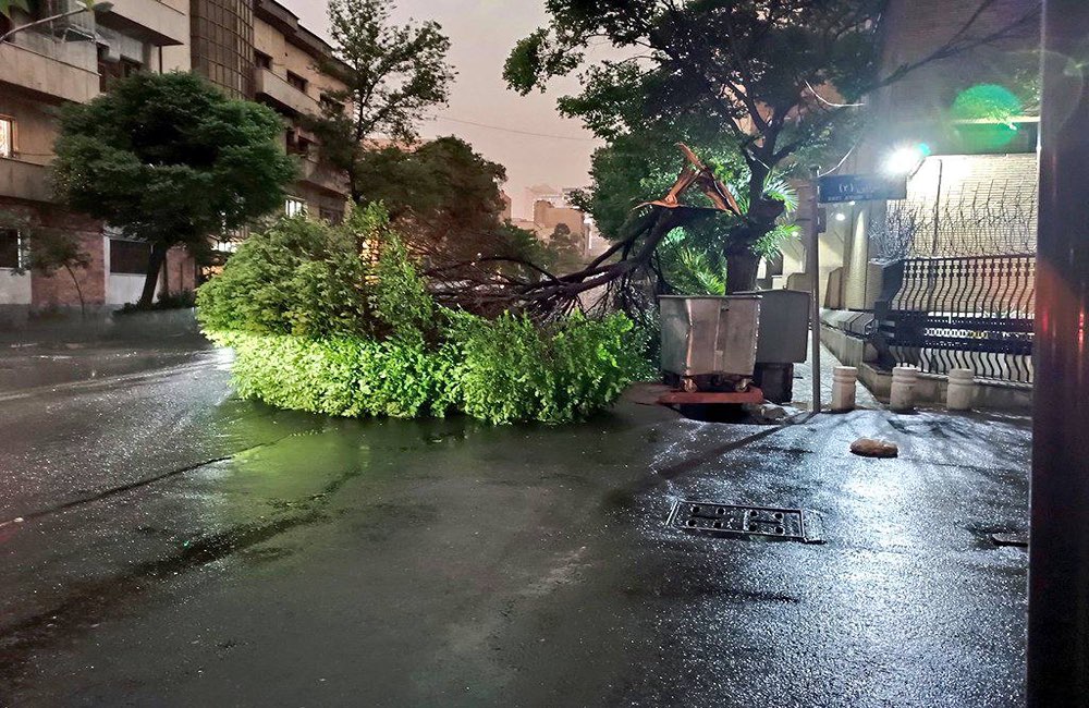 وزش باد شدید در پایتخت را جدی بگیرید