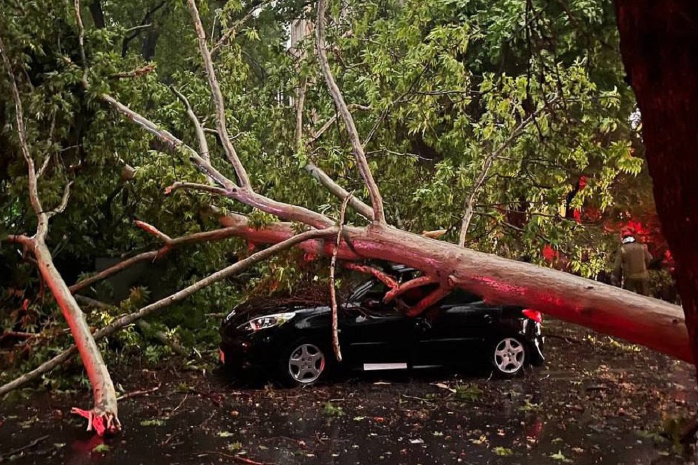 تعداد فوتی های طوفان تهران به ۲ نفر رسید