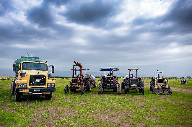 وزارت کشاورزی مکلف به استرداد زمین میانکاله شد