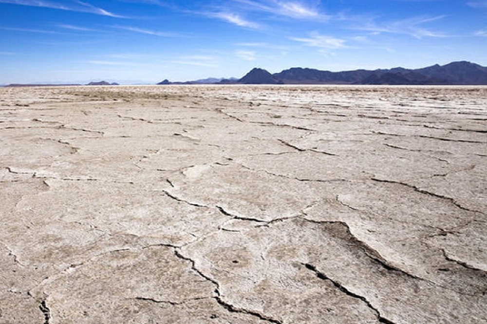 آخرین گزارش از وضعیت تالابهای استان فارس