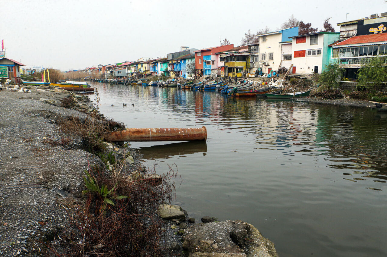 باران؛ مسکن موقت تالاب انزلی