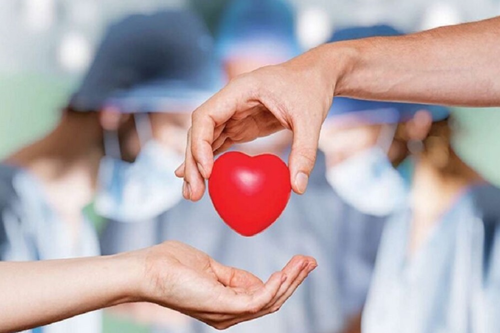 وقوع سالانه ۸۰۰۰ مرگ مغزی در کشور