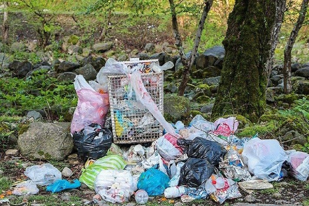 رهاسازی زباله در طبیعت جرمانگاری میشود؟