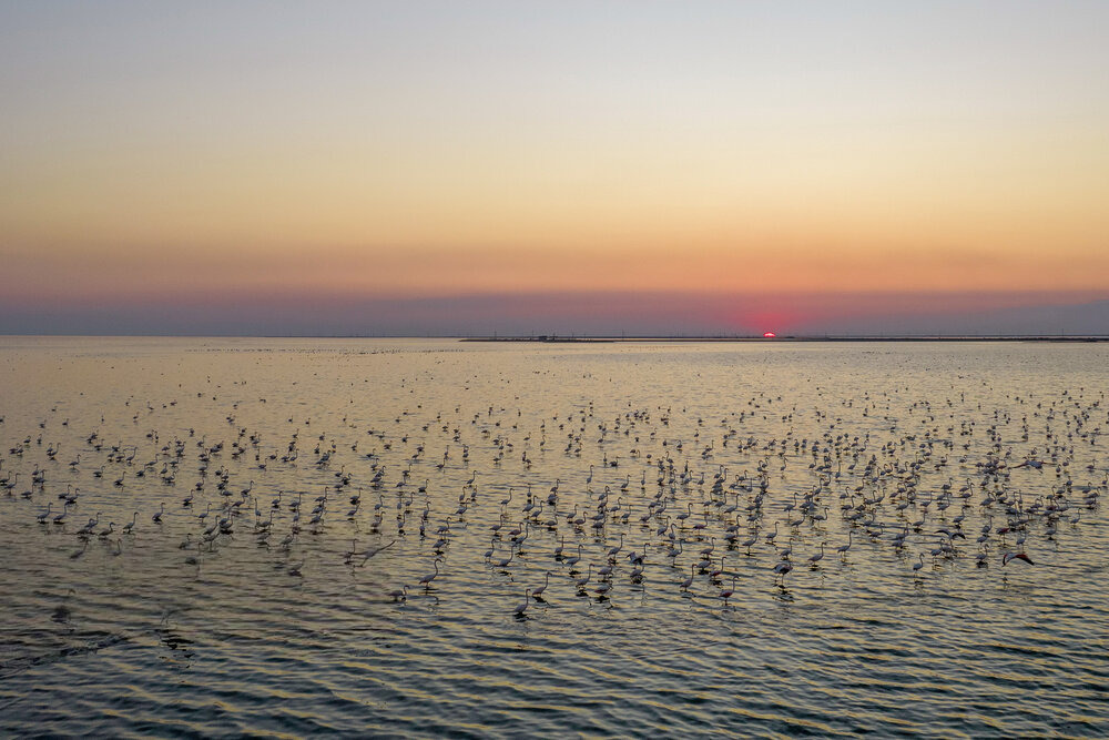 صدور دستور رهاسازی آب به سوی هورالعظیم