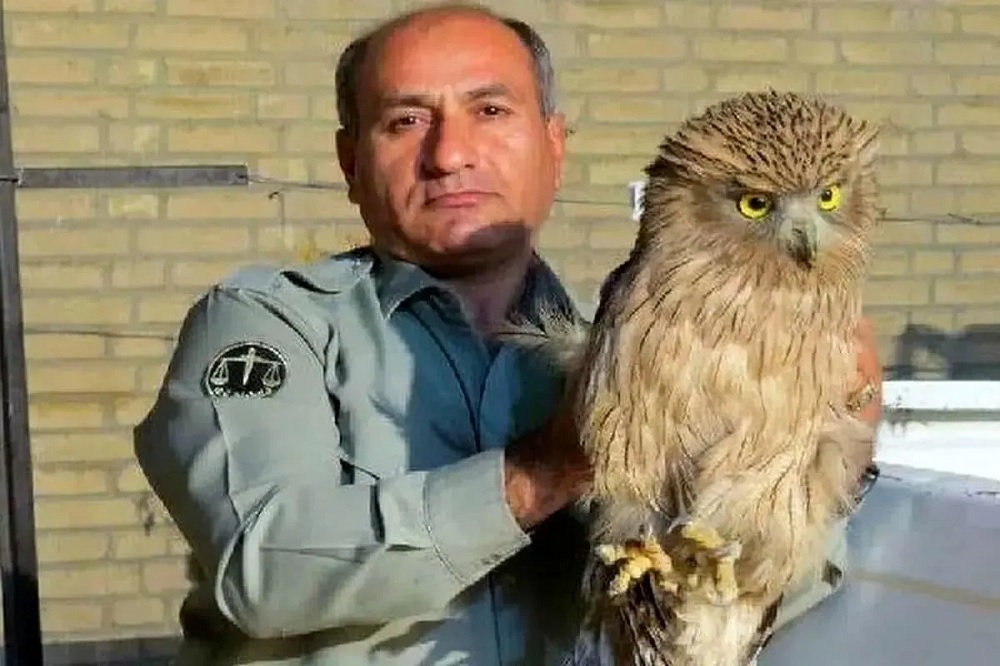 جزییات شهادت محیطبان هدایتالله دیدهبان