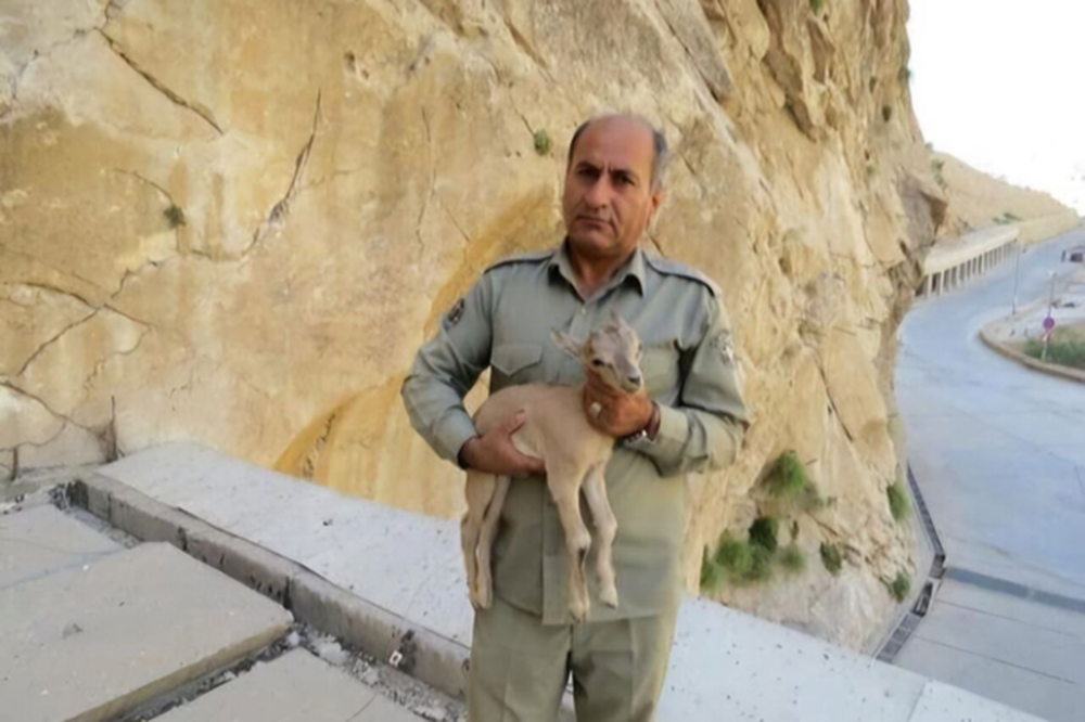 دومین قاتل شهید دیدهبان دستگیر شد