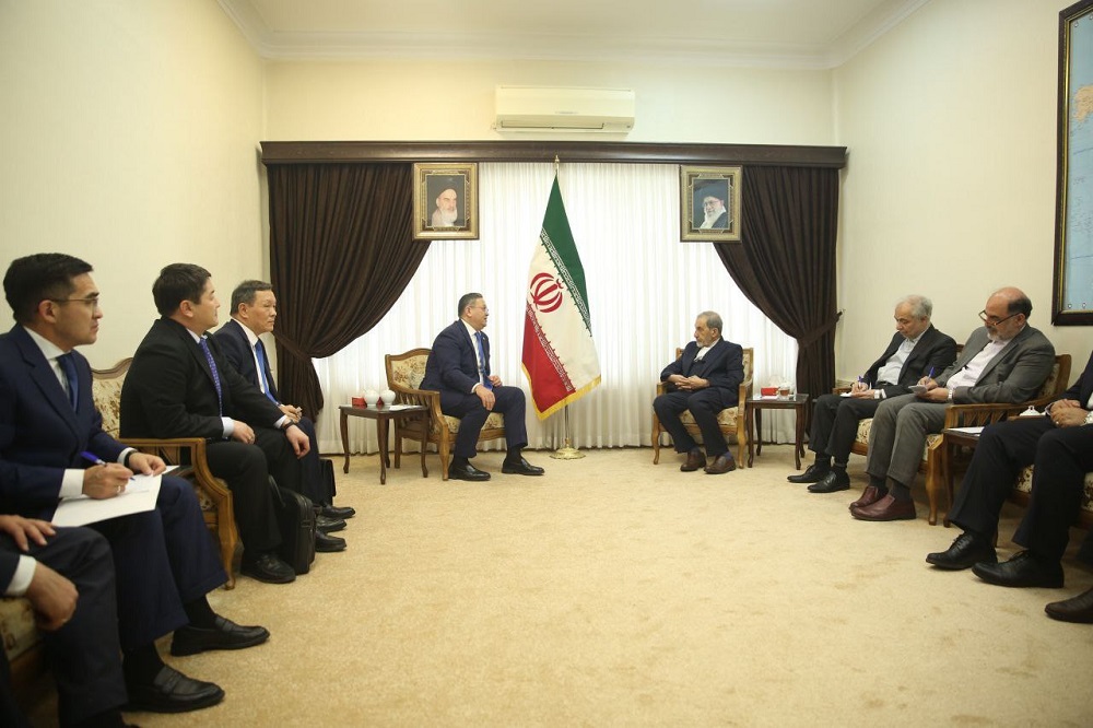 دیدار دکتر ولایتی با وزیر خارجه قزاقستان