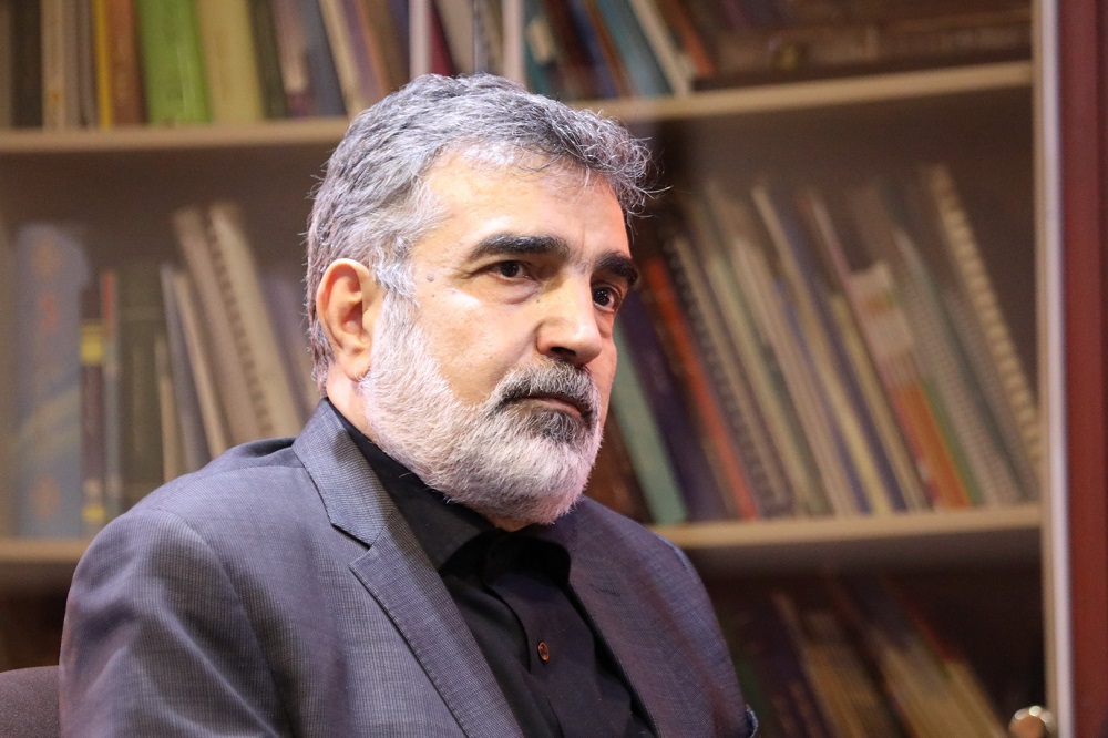 سخنگوی سازمان انرژی اتمی: برخورد مدیر کل آژانس، سیاسی است