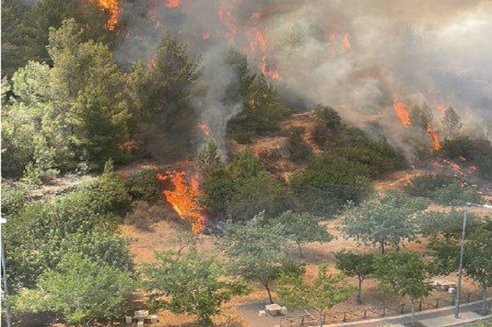 آتشسوزی گسترده در جنگل «کارمیت» در اراضی اشغالی