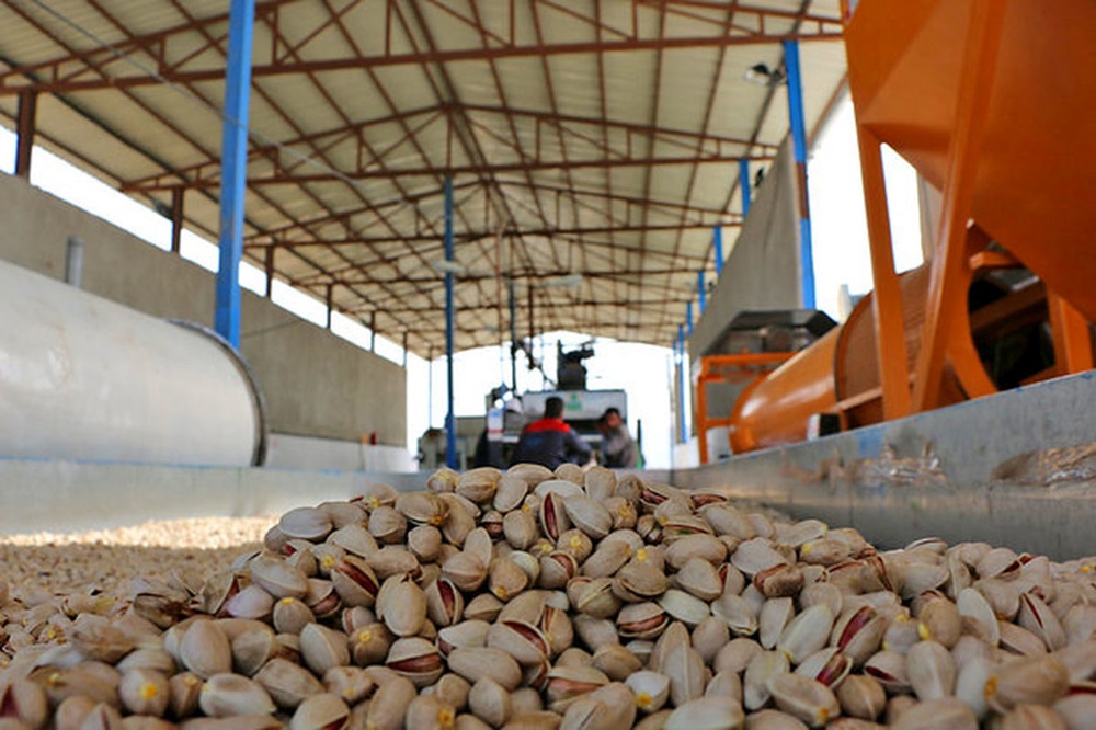 گزارش یک تحول بزرگ در دنیای کشاورزی