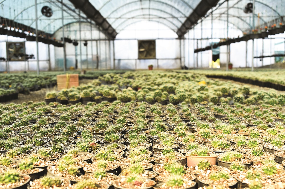 سراهای نوآوری چگونه فاصلهٔ علم و عمل را کاهش دادند؟