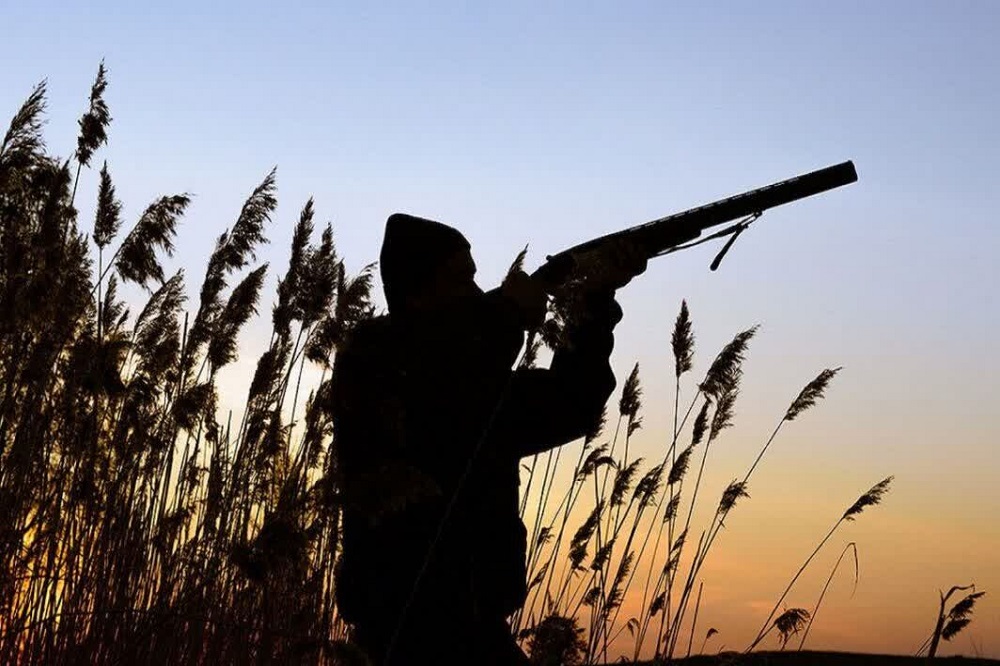 قانون بکارگیری سلاح در کمیسیون حقوقی مجلس بررسی میشود