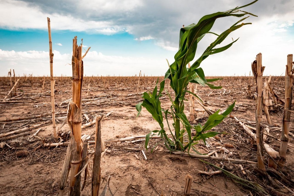 خشکسالی بزرگ در ترکیه