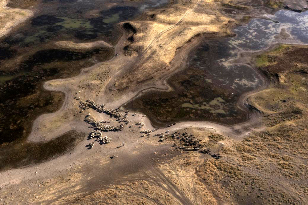 ترکیه، افغانستان و عراق هم تشنهاند