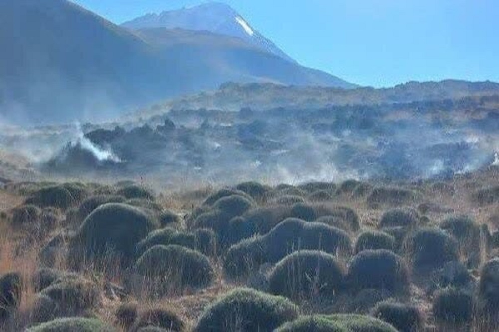 ۶۵ هکتار از مراتع پارک ملی لار در آتش سوخت