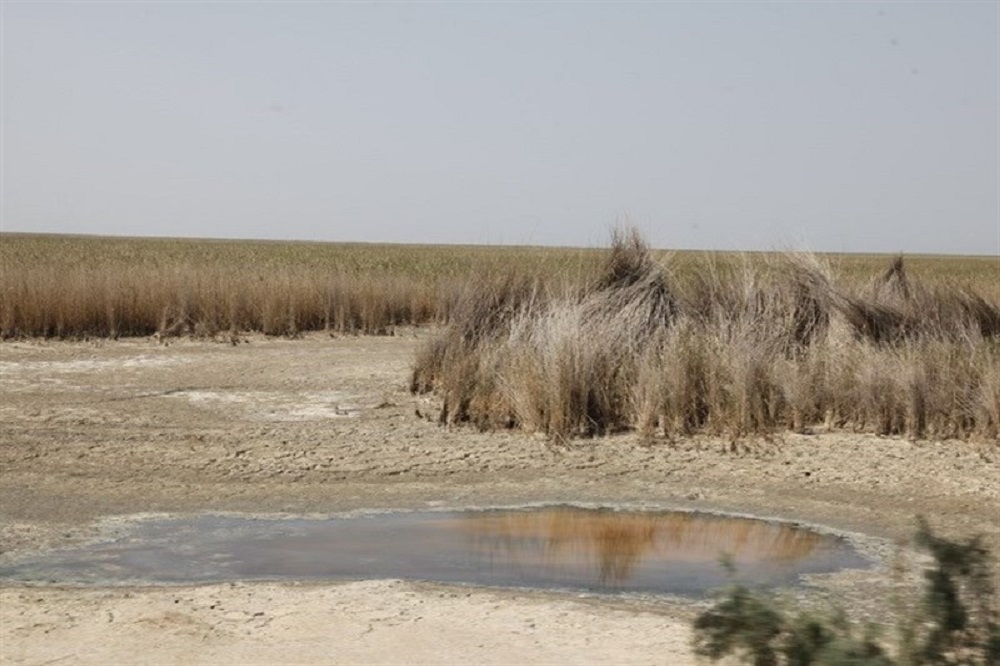 ۶۶ درصد از تالاب‌های کشور خشک شده است