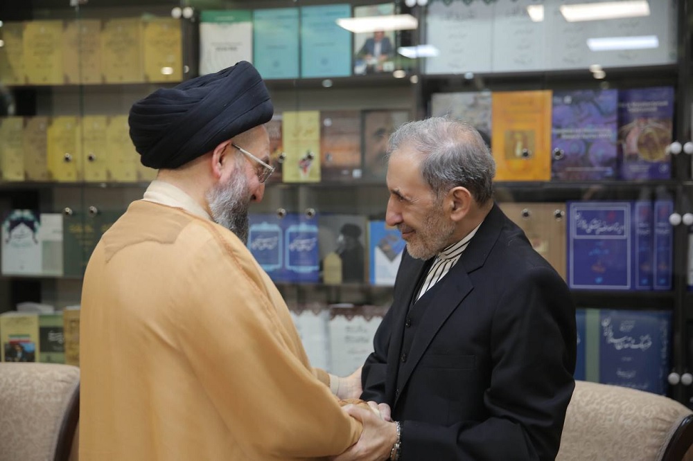 حکیم در دیدار با دکتر ولایتی: ایران در جنگ خوش درخشید