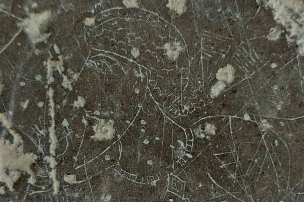 کشف سنگنگاره ساسانی در مرودشت