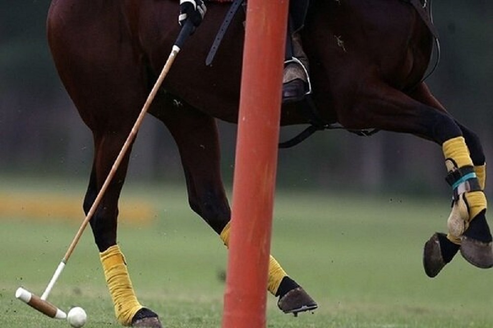 آمریکا برای جام جهانی به ملیپوشان چوگان ویزا نداد