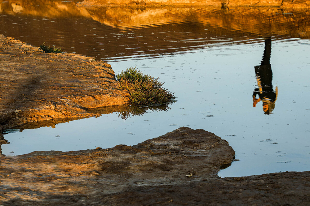 ۹  تالاب در ایران خشک شد