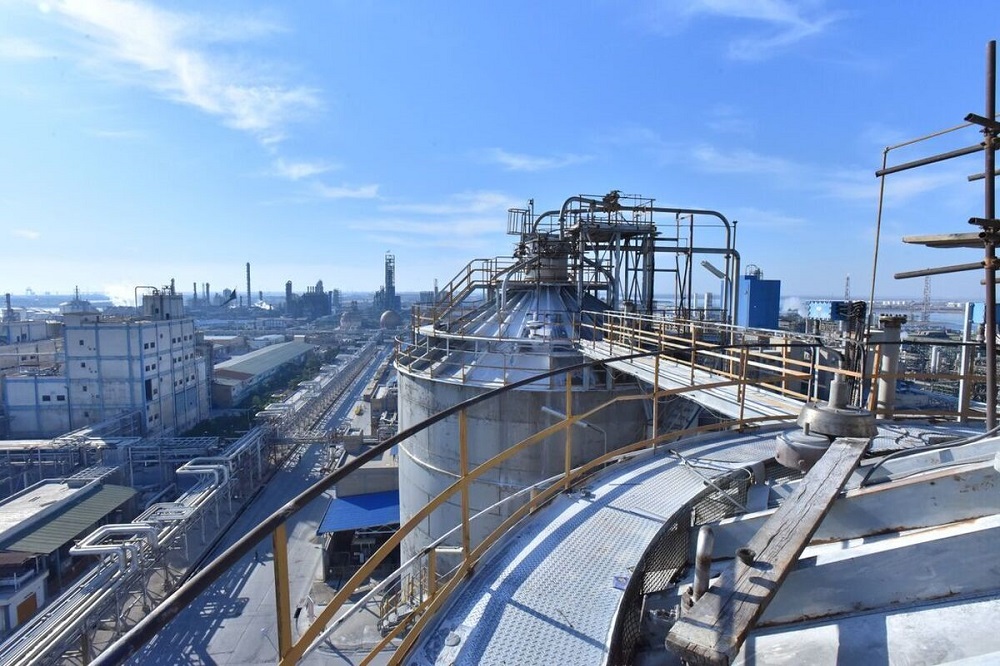 پروژۀ تولید پاکتهای الیافی گیاهی در عمان را دنبال میکنیم