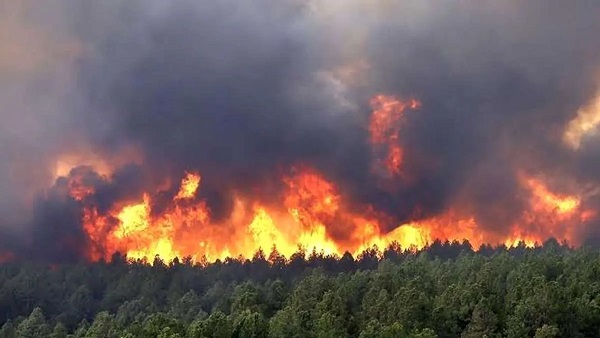 اطفای حریق جزئی در جنگل الیت