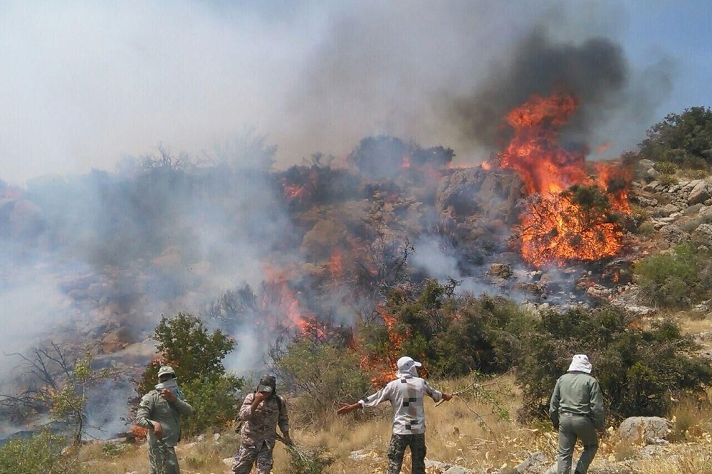 نمایی از آتش‌سوزی در جنگل‌های هیرکانی گلستان