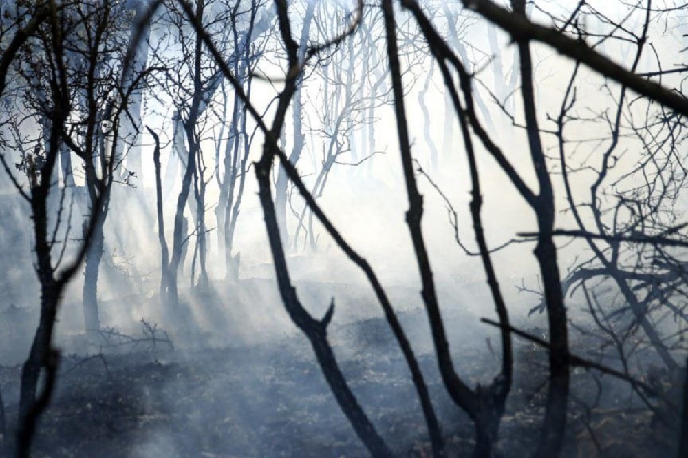 رئیس سازمان مدیریت بحران: کاهش دود در آسمان الیت محسوس است