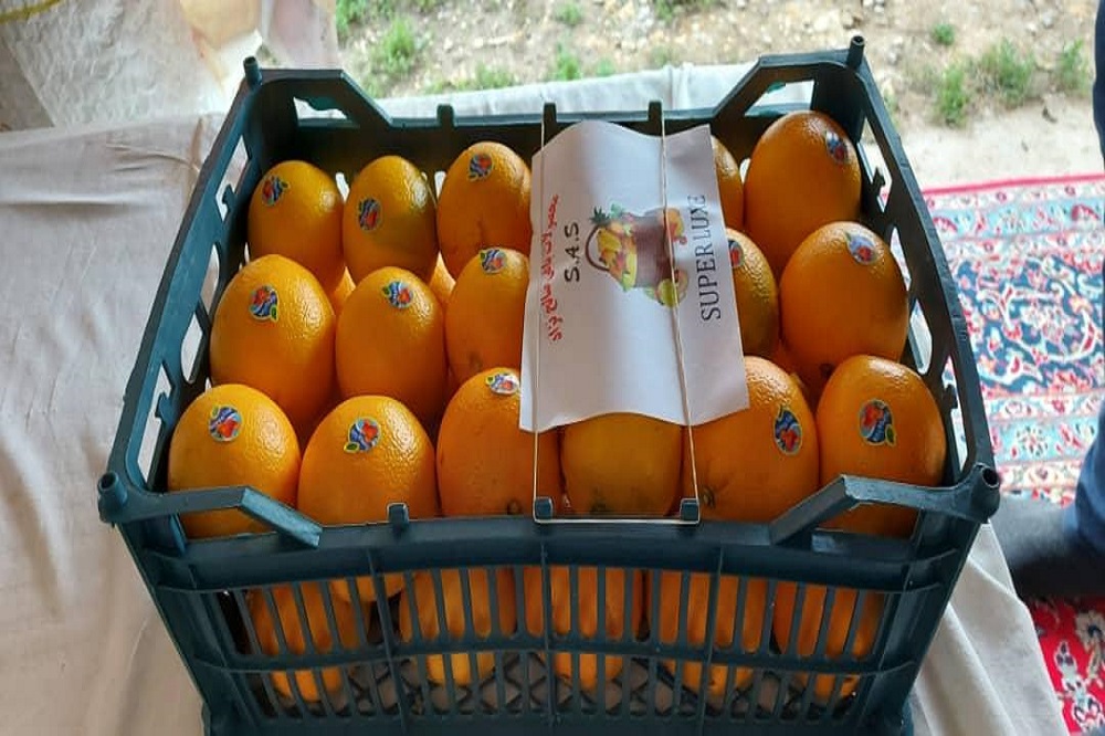 پرتقالهای رنگ شده ضرر دارند؟