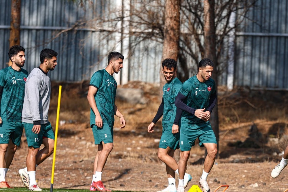 سلمانی و فخریان فعلا ماندنی شدند