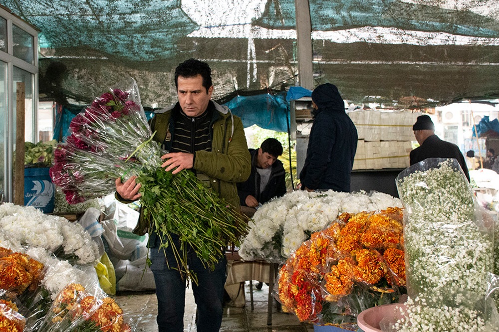 قیمت گل در روز مادر چند برابر شد؟