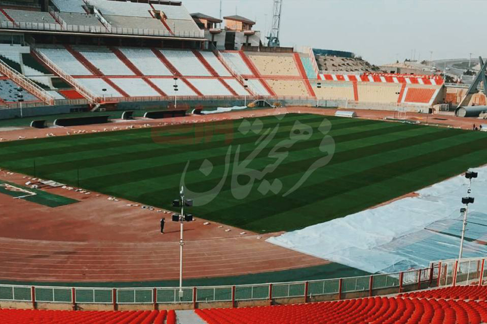 چمن هیبریدی یادگار دوباره سبز شد!