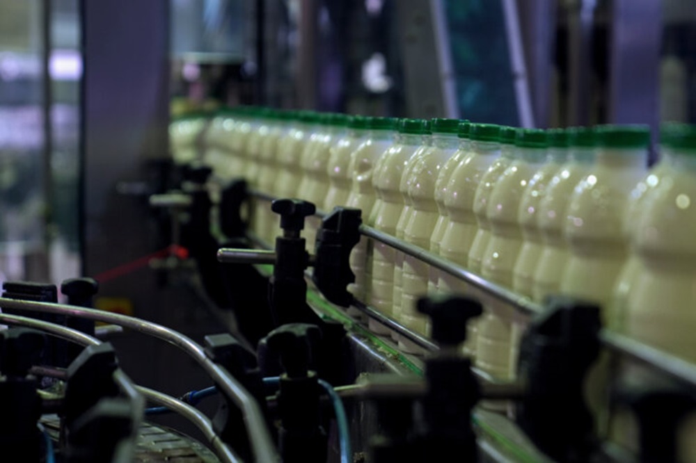 کاهش ۱۰ درصدی مصرف لبنیات در کشور از ابتدای امسال