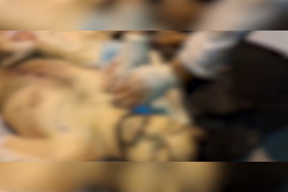 «مبین» گواه یک خون‌ به ناحق ریخته شده