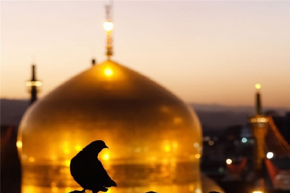 وقتی که امام رضا(ع) مرهمی بر زخم جان‌ها می‌شود