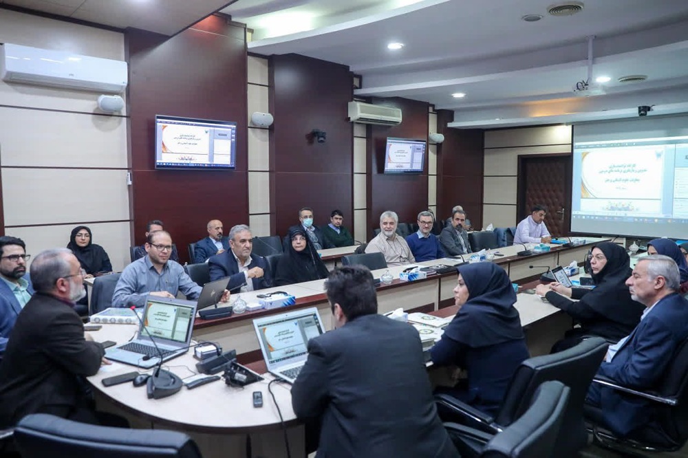 تدوین و بازنگری سرفصل دروس رشته‌های علوم انسانی و هنر